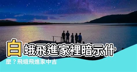 白蛾飛進家裡|【有蛾飛進家裡】飛蛾進了家門，究竟有什麼驚人預示？點我看解。